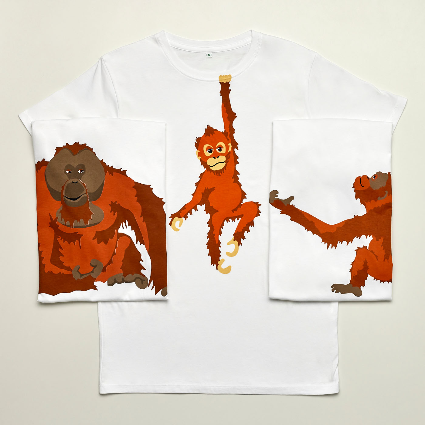 King - Image 4